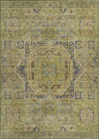 Piper Looms Chantille Global ACN1743 Aloe Machine Washable Area Rug main image