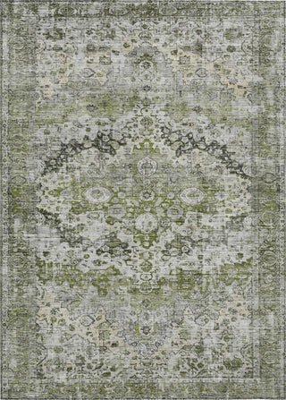 Piper Looms Chantille Border ACN1755 Aloe Machine Washable Area Rug main image