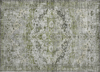 Piper Looms Chantille Border ACN1755 Aloe Machine Washable Area Rug Scatter Main Image