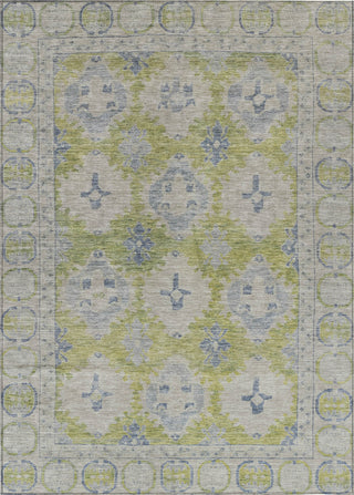 Piper Looms Chantille Border ACN1760 Aloe Machine Washable Area Rug main image