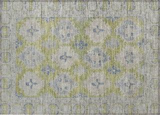 Piper Looms Chantille Border ACN1760 Aloe Machine Washable Area Rug Scatter Main Image