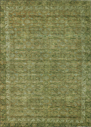 Piper Looms Chantille Border ACN1762 Aloe Machine Washable Area Rug main image