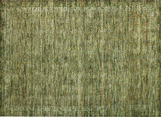 Piper Looms Chantille Border ACN1762 Aloe Machine Washable Area Rug Scatter Main Image