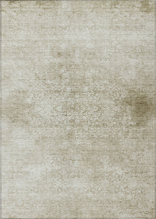 Piper Looms Chantille Global ACN1763 Beige Machine Washable Area Rug main image