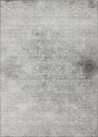 Piper Looms Chantille Global ACN1763 Gray Machine Washable Area Rug main image