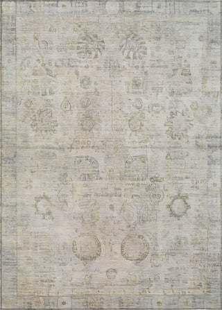 Piper Looms Chantille Border ACN1769 Linen Machine Washable Area Rug main image