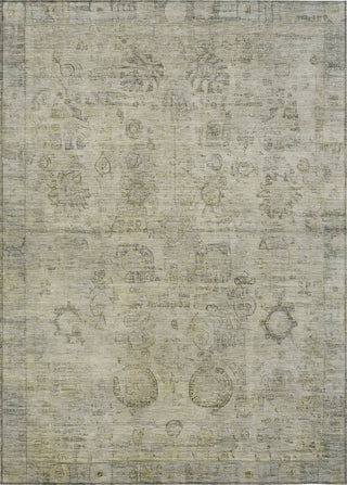 Piper Looms Chantille Border ACN1769 Taupe Machine Washable Area Rug main image