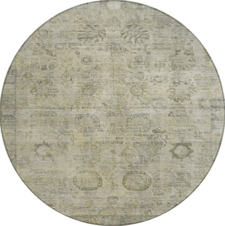 Piper Looms Chantille Border ACN1769 Taupe Machine Washable Area Rug Round Main Image