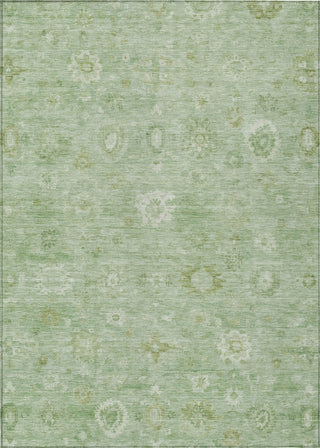 Piper Looms Chantille Damask ACN1770 Aloe Machine Washable Area Rug main image