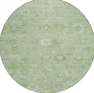 Piper Looms Chantille Damask ACN1770 Aloe Machine Washable Area Rug Round Main Image