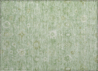 Piper Looms Chantille Damask ACN1770 Aloe Machine Washable Area Rug Scatter Main Image