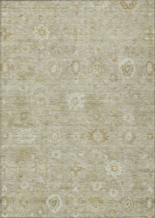 Piper Looms Chantille Damask ACN1770 Beige Machine Washable Area Rug main image