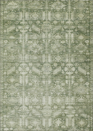 Piper Looms Chantille Global ACN1771 Aloe Machine Washable Area Rug main image