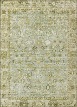 Piper Looms Chantille Global ACN1772 Sage Machine Washable Area Rug main image