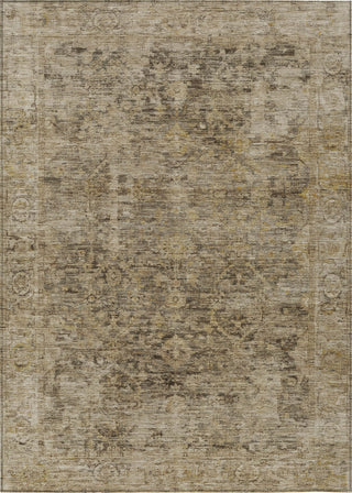 Piper Looms Chantille Border ACN1773 Brown Machine Washable Area Rug main image