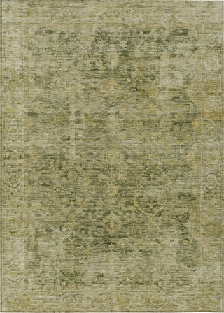 Piper Looms Chantille Border ACN1773 Green Machine Washable Area Rug main image