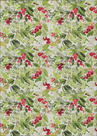 Piper Looms Chantille Christmas ACN1816 Aloe Machine Washable Area Rug main image