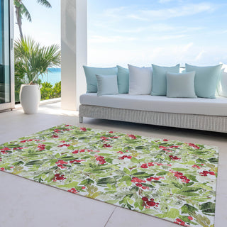 Piper Looms Chantille Christmas ACN1816 Aloe Machine Washable Area Rug Outdoor Lifestyle Image Feature