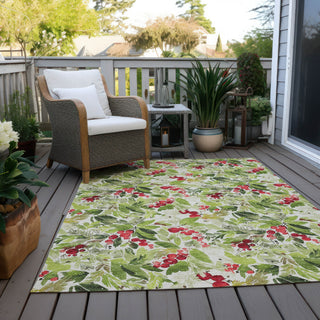Piper Looms Chantille Christmas ACN1816 Aloe Machine Washable Area Rug Outdoor Lifestyle Image Feature