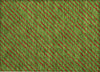 Piper Looms Chantille Christmas ACN1819 Fern Machine Washable Area Rug Scatter Main Image