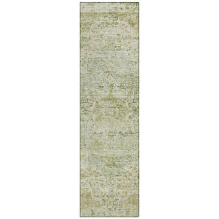 Piper Looms Chantille Global ACN1832 Sage Machine Washable Area Rug Runner Main Image