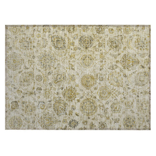 Piper Looms Chantille Damask ACN1833 Beige Machine Washable Area Rug Scatter Main Image