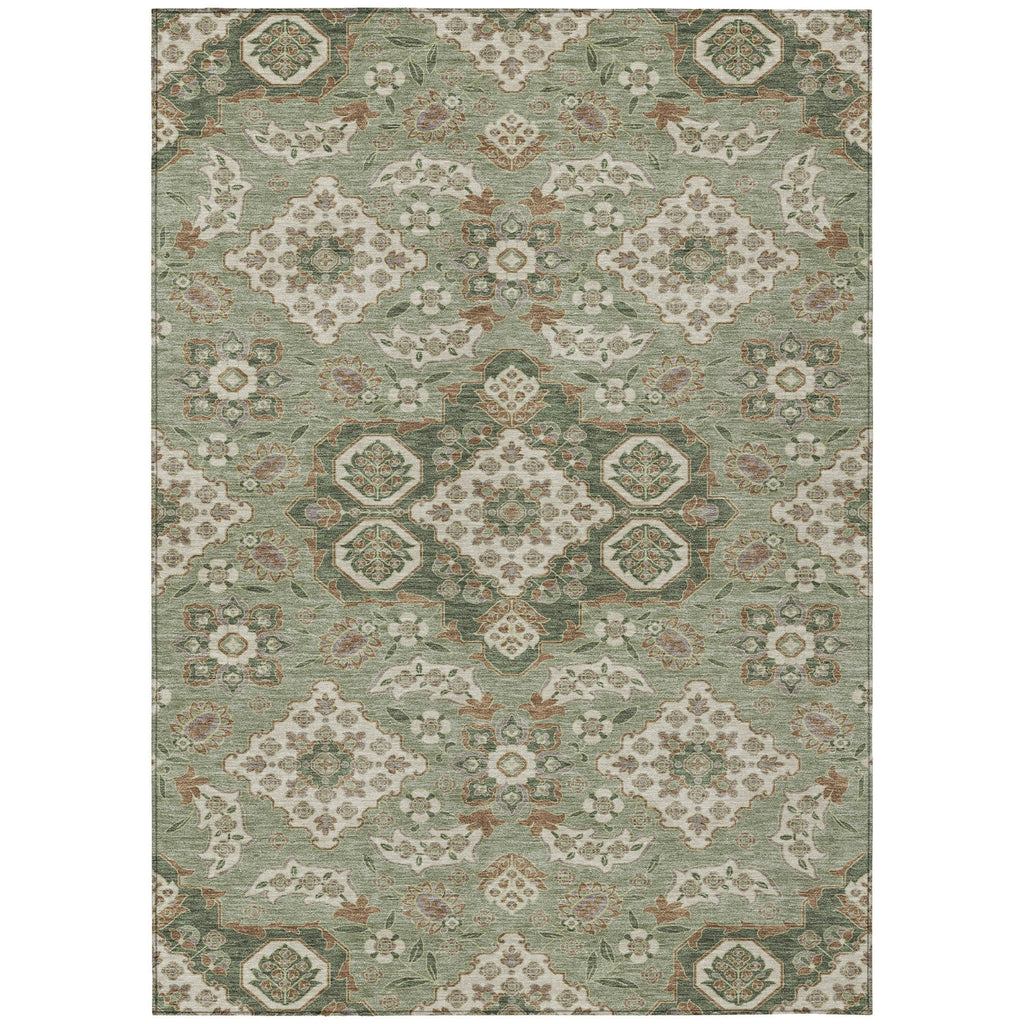Piper Looms Chantille Global ACN1853 Sage Machine Washable Area Rug main image
