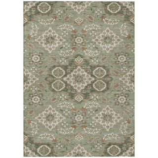 Piper Looms Chantille Global ACN1853 Sage Machine Washable Area Rug main image