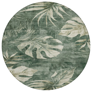 Piper Looms Chantille Floral ACN1887 Fern Machine Washable Area Rug Round Main Image