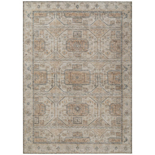 Piper Looms Chantille Border ACN1919 Beige Machine Washable Area Rug main image