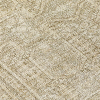 Piper Looms Chantille Border ACN1920 Beige Machine Washable Area Rug Swatch Image