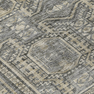 Piper Looms Chantille Border ACN1920 Pewter Machine Washable Area Rug Swatch Image