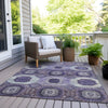 Piper Looms Chantille Panels ACN1926 Purple Machine Washable Area Rug Outdoor Lifestyle Image Feature