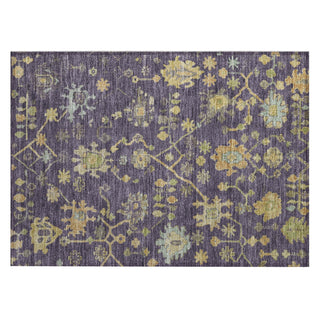 Piper Looms Chantille Global ACN1930 Purple Machine Washable Area Rug Scatter Main Image