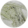 Piper Looms Chantille Abstract ACN1934 Aloe Machine Washable Area Rug Round Main Image