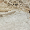 Piper Looms Chantille Abstract ACN1934 Beige Machine Washable Area Rug Swatch Image