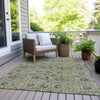 Piper Looms Chantille Floral ACN1938 Green Machine Washable Area Rug Outdoor Lifestyle Image Feature