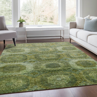 Piper Looms Chantille Panels ACN1944 Aloe Machine Washable Area Rug Lifestyle Image Feature