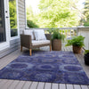 Piper Looms Chantille Panels ACN1944 Purple Machine Washable Area Rug Outdoor Lifestyle Image Feature