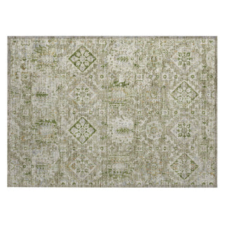 Piper Looms Chantille Global ACN1998 Fern Machine Washable Area Rug Scatter Main Image