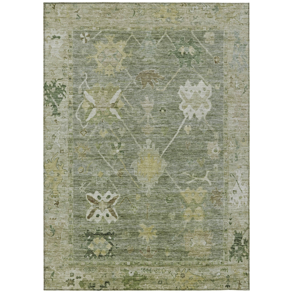 Piper Looms Chantille Global ACN2025 Sage Machine Washable Area Rug main image