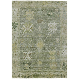Piper Looms Chantille Global ACN2025 Sage Machine Washable Area Rug main image