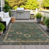 Piper Looms Chantille Global ACN2045 Fern Machine Washable Area Rug Outdoor Lifestyle Image Feature