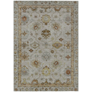 Piper Looms Chantille Global ACN2045 Taupe Machine Washable Area Rug main image