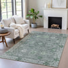 Piper Looms Chantille Global ACN2051 Aloe Machine Washable Area Rug Lifestyle Image Feature