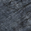 Piper Looms Chantille Floral ACN2083 Charcoal Machine Washable Area Rug Swatch Image