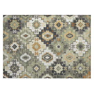 Piper Looms Chantille Ethnic ACN2123 Fern Machine Washable Area Rug Scatter Main Image