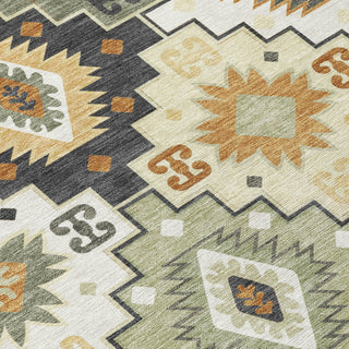 Piper Looms Chantille Ethnic ACN2123 Fern Machine Washable Area Rug Swatch Image