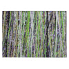 Piper Looms Chantille Stripes ACN2125 Green Machine Washable Area Rug Scatter Main Image