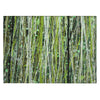 Piper Looms Chantille Stripes ACN2126 Green Machine Washable Area Rug Scatter Main Image